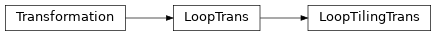 Inheritance diagram of LoopTilingTrans